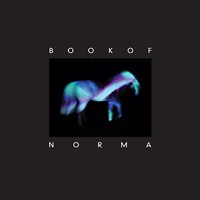 Book Of Norma (CD)